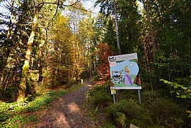 Märchenwanderweg Bischofsgrün