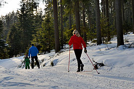 Fitness Urlaub Bayern Fichtelgebirge Wintersport Langlauf