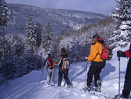 Fitness Urlaub Bayern Fichtelgebirge Wintersport Schneeschuhwandern