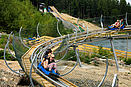 Alpine Coster