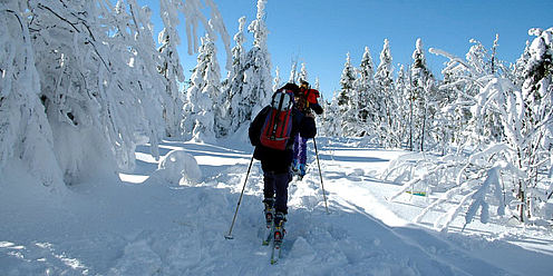 Langlaufparadies Ochsenkopf - Loipennetz zwischen 600 und 1.000 Meter Höhe